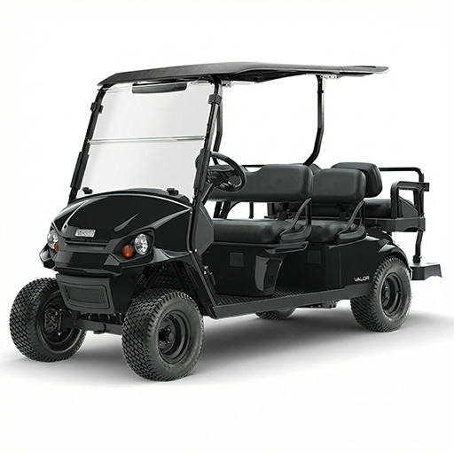 Valor 6