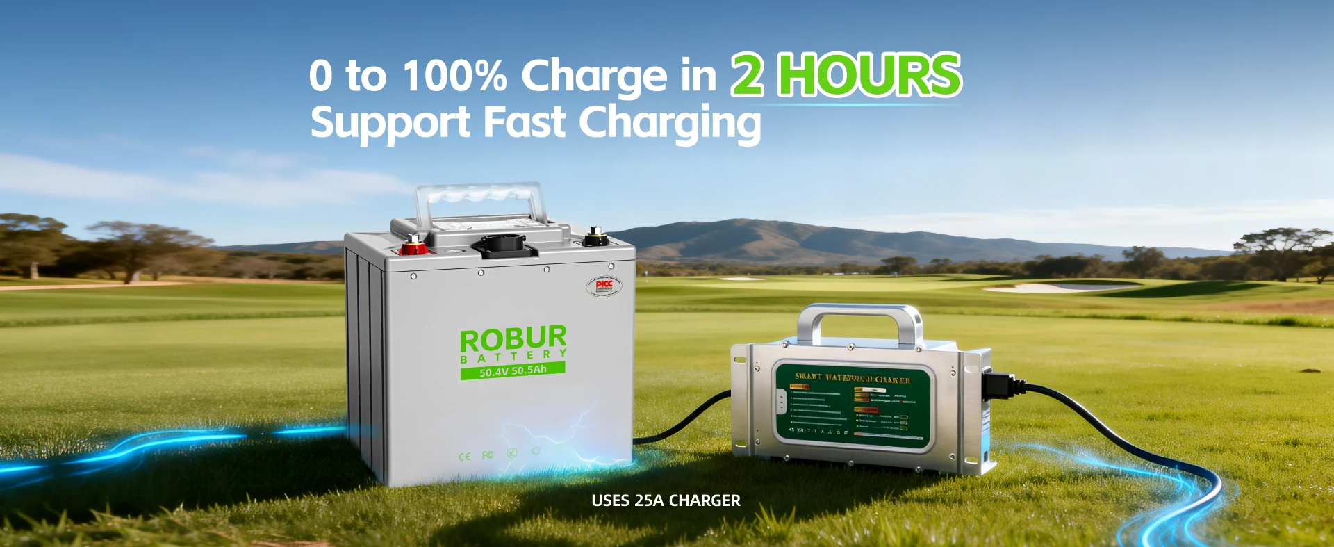 25 amp fast charging from zero to full in about two hours